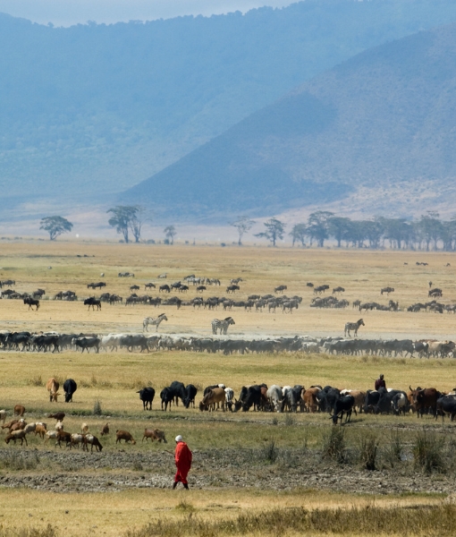 Ngorongoro Conservation Area