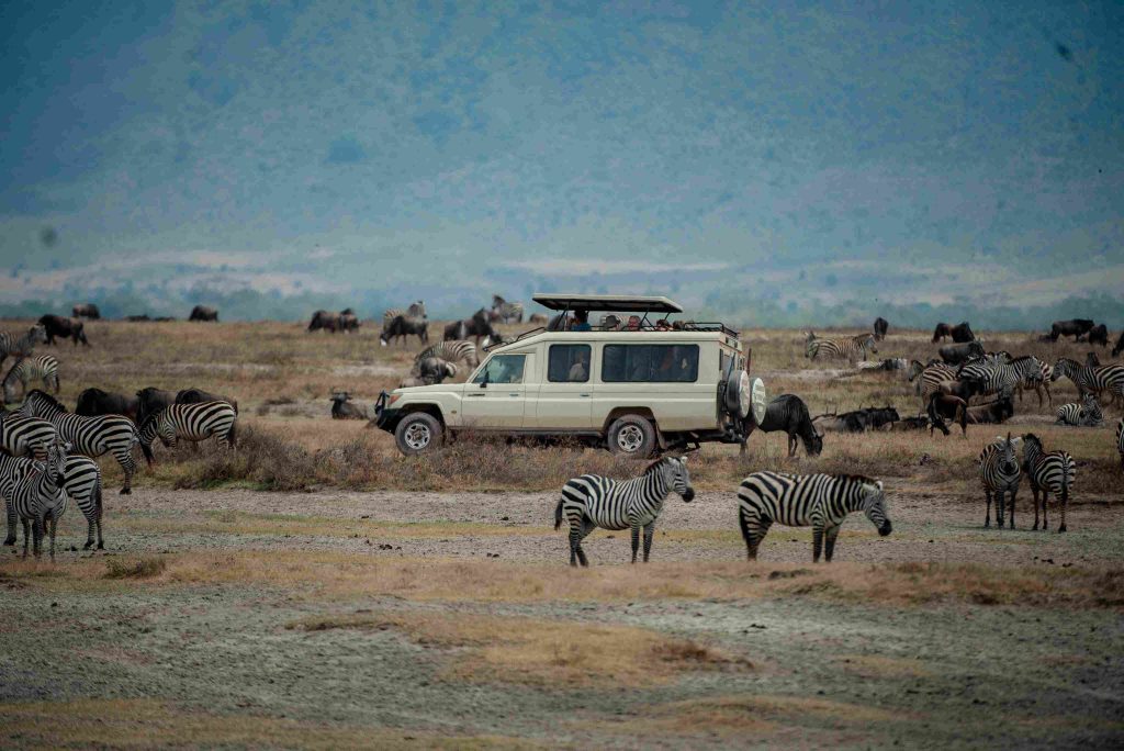 4-day adventure safari