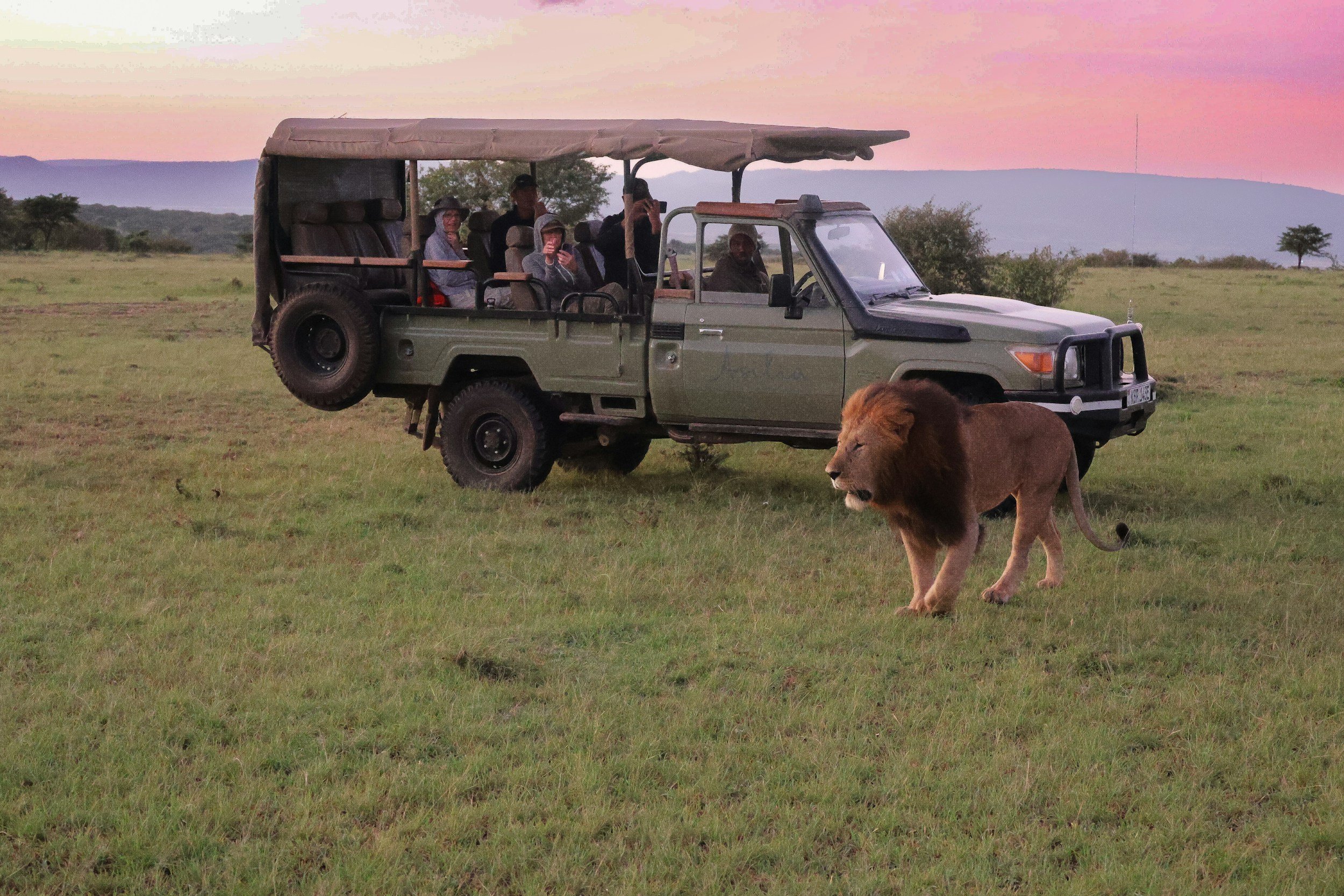 Full game drive in Ngorongoro Crater