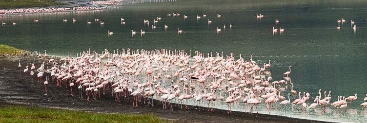 Ngorongoro_Highlands_007