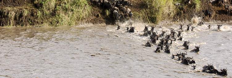 Northern_Serengeti_National_Park_003