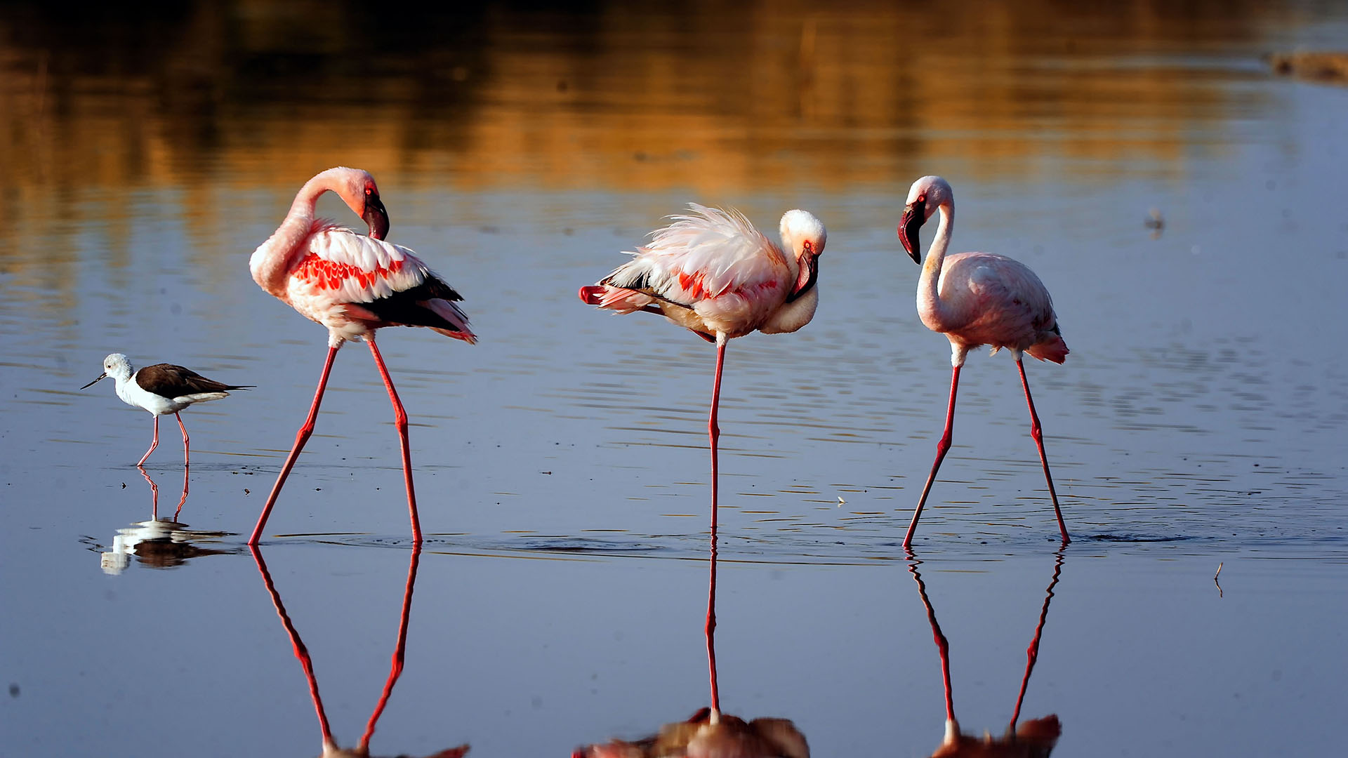 ngorongoro-crater-ngorongoro-conservation-area.jpg