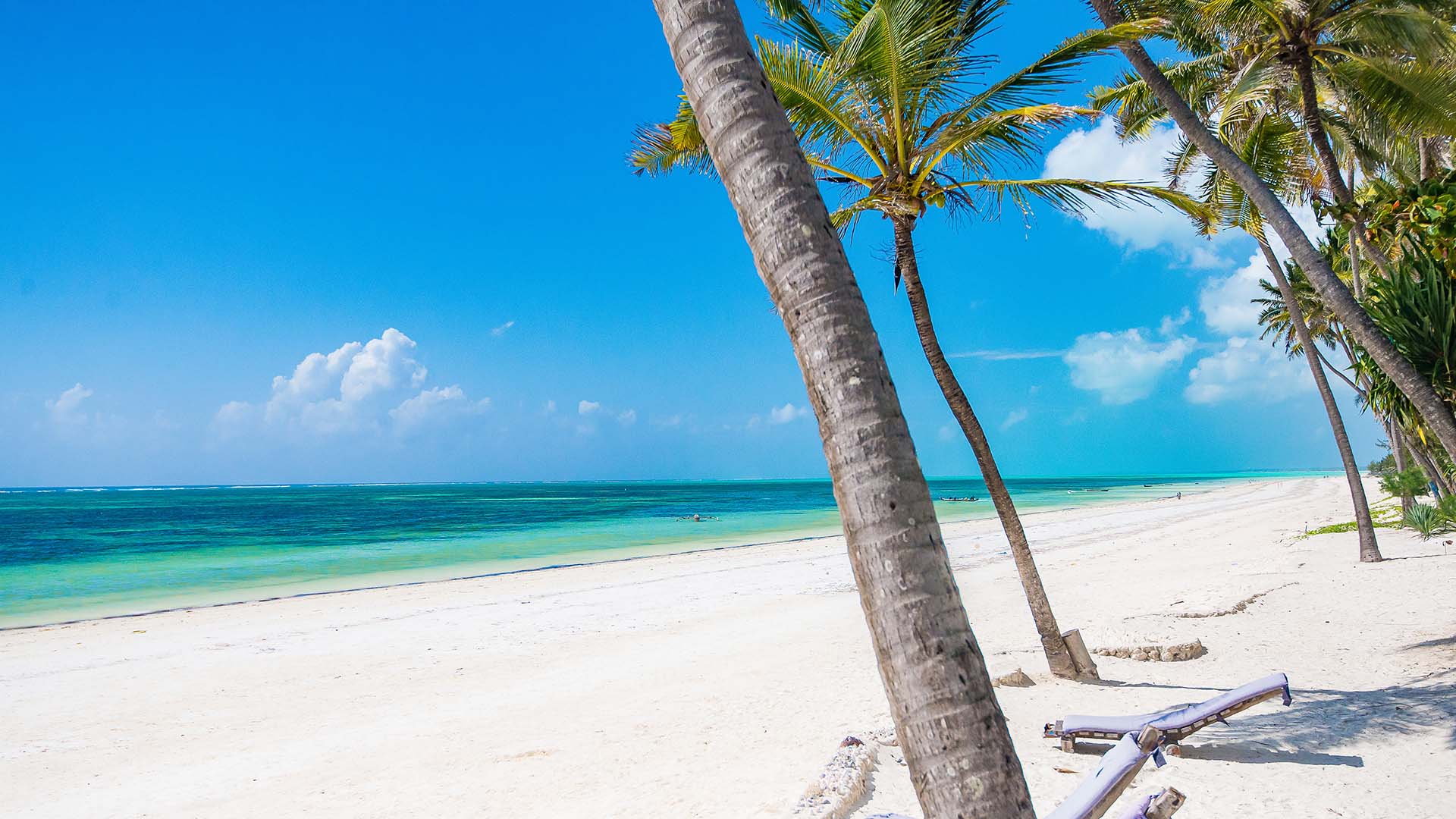 zanzibar