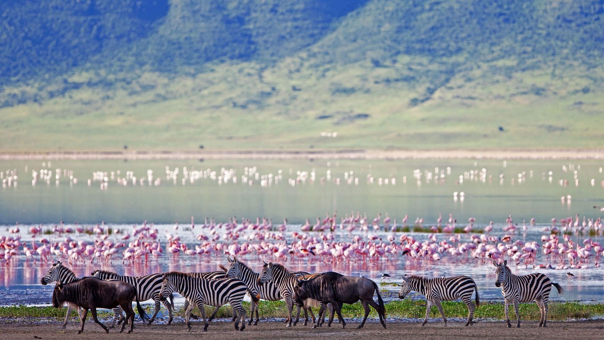 ngorongoro-crater-
