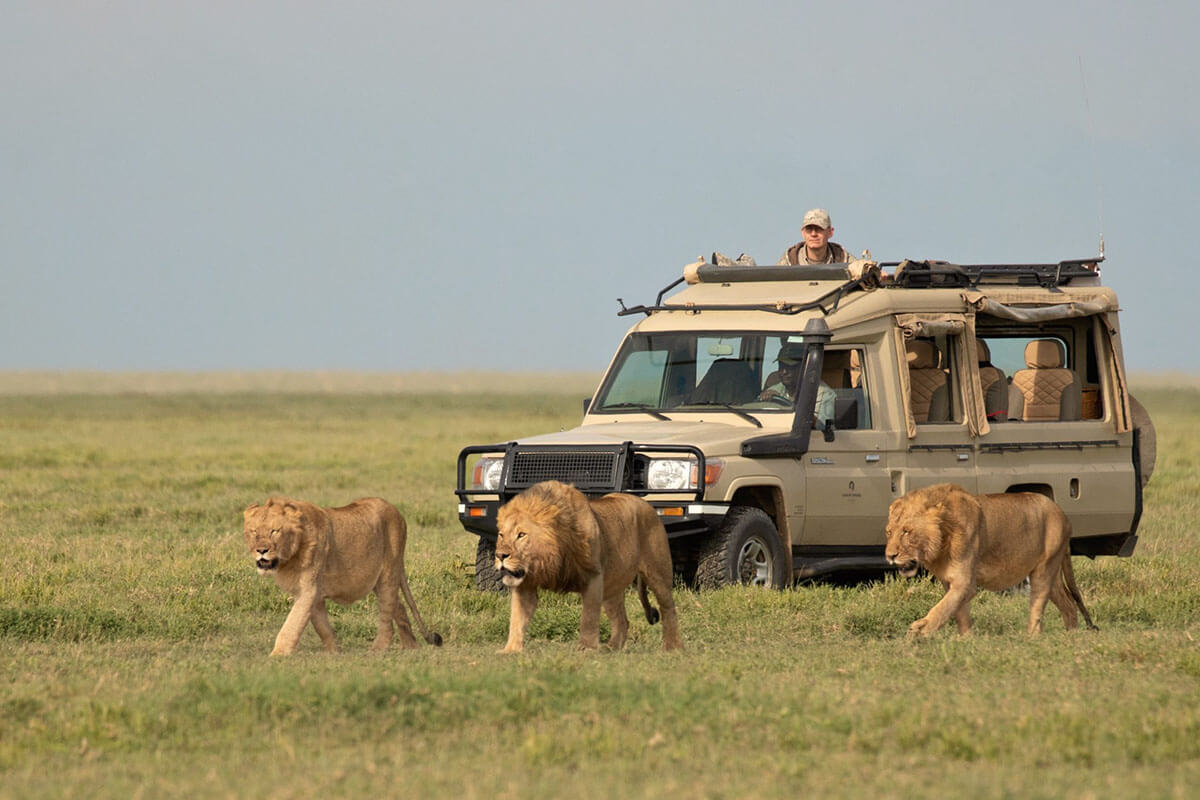 Serengeti-National-Park-Reviews