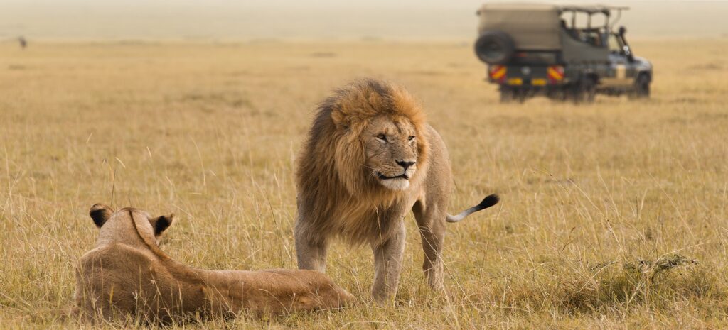 Kenya or Tanzania: Which Wilderness Safari is the One for You?