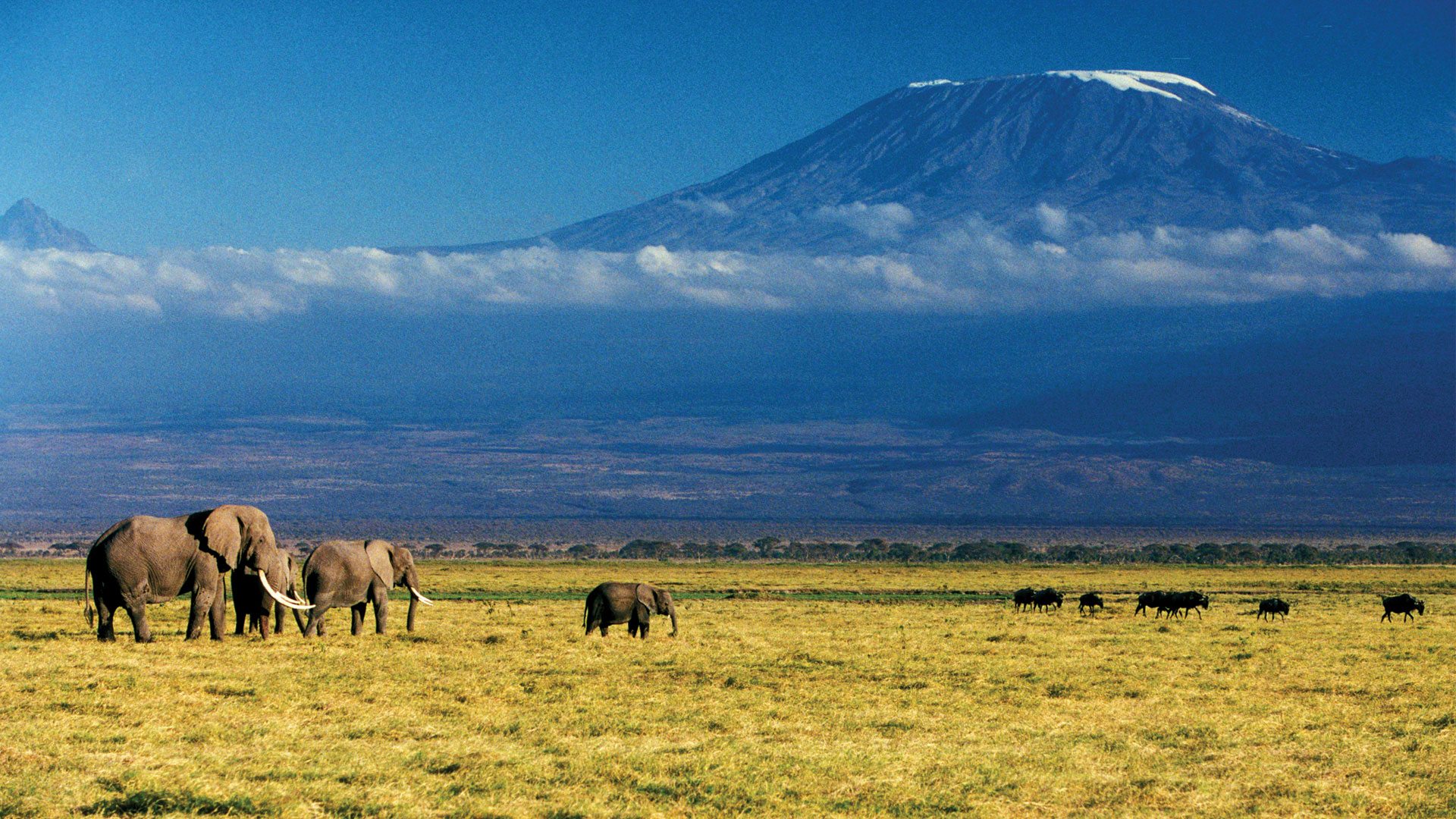 Mount Kilimanjaro – Africa’s Tallest Peak