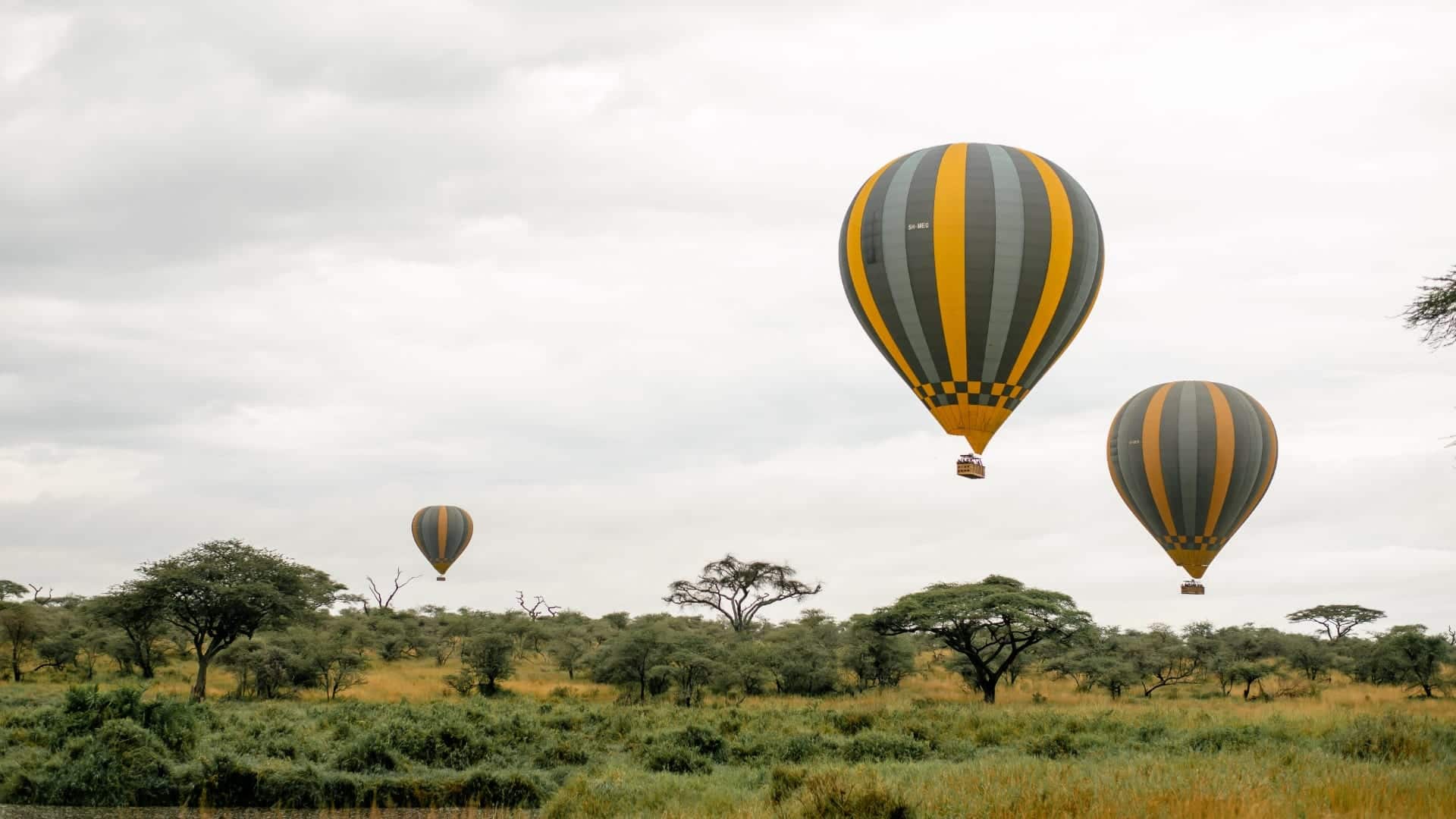 hot-air balloon safaris